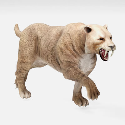 Realistic Saber-Toothed Tiger