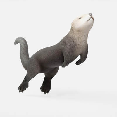 Realistic Sea Otter Marine Mammal
