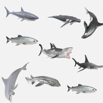 Realistic Sharks Deep Sea Ultimate Marine Life Bundle