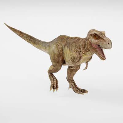 Realistic Tyrannosaurus Rex T-Rex Dinosaur