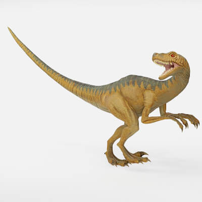 Realistic Velociraptor Dinosaur