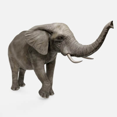 Realistic Wild African Elephant