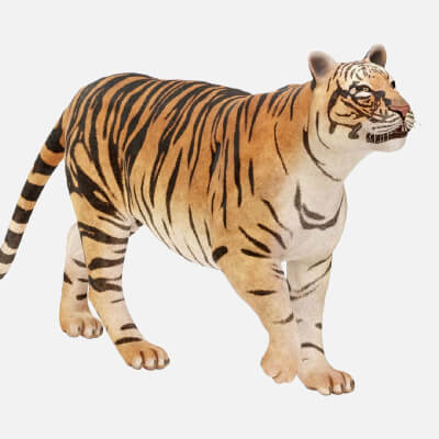 Realistic Wild Bengal Tiger