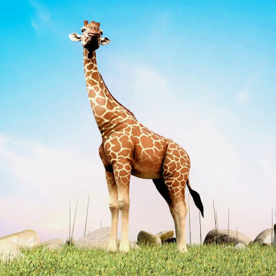Realistic African Wild Giraffe