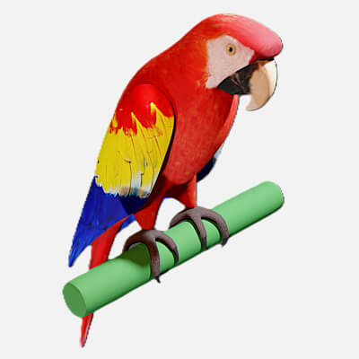 Stylized Tropical Parrot