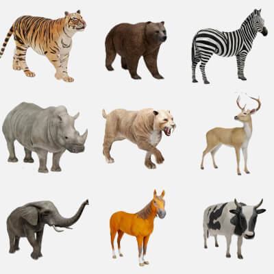 Ultimate Wildlife Collection and Wild Animal Bundle