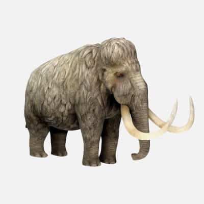 Woolly Mammoth Ice Age Animal