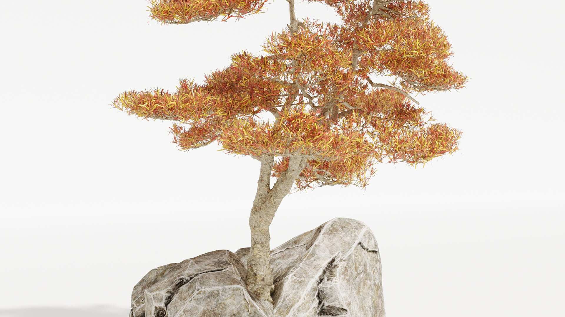 Scultura Murale Metallica Bonsai Giapponese – Arredamento Zen Per Soggiorno, Camera E Ufficio, Nero, 60x60 Cm (Senza Cornice)