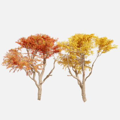 Tree Autumn plant - 3D Model by alirezamoarrefi