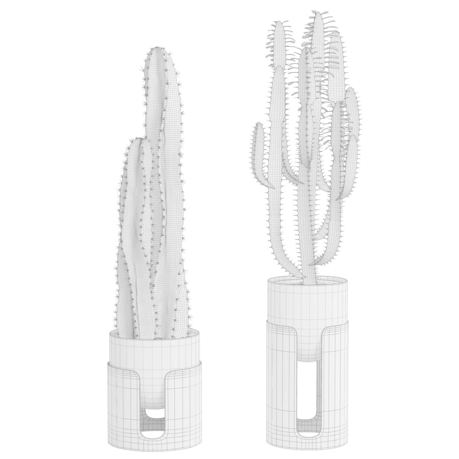Cactus Pack 04 - 3D Model by AllQuad