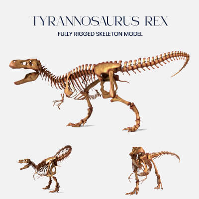 Tyrannosaurus Rex Skeleton – Fully Rigged Apex Predato - 3D Model by ...