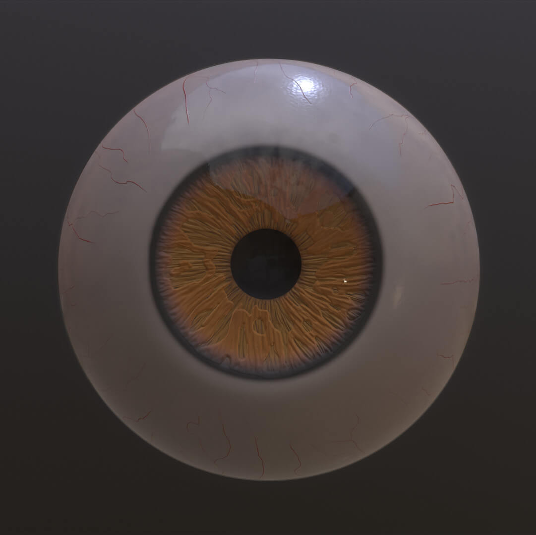 BrownYellow Eye 3D Model by Andrey89