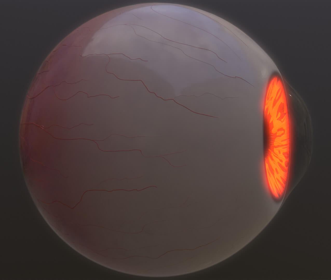 BrownYellow Eye 3D Model by Andrey89