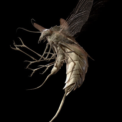 Flyingbugr1 Game Ready