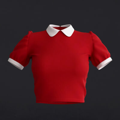 Female Collar Top Blouse