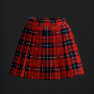 Pleated Skirt
