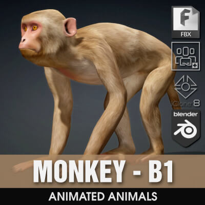 Monkey-B1-Animated