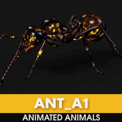 Ant A1 Animated