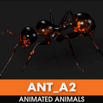 Ant A2 Animated