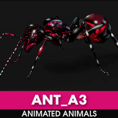 Ant A3 Animated