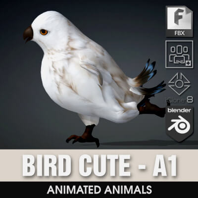 Bird Cute-A1