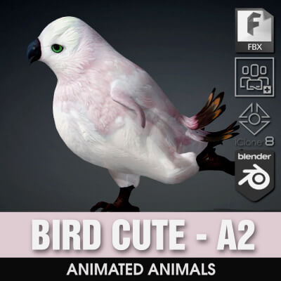 Bird Cute-A2