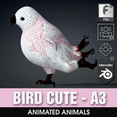 Bird Cute-A3