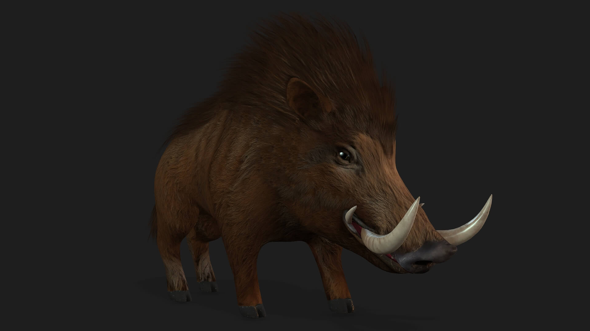 Boar-A1-Animated 3D Model by Animated3d