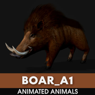Boar-A1-Animated