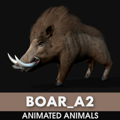 Boar-A2-Animated by Animated3d