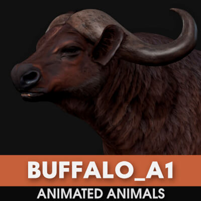 Buffalo A1 Animated