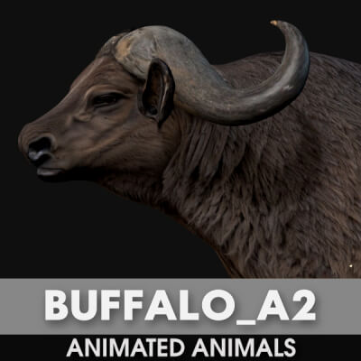 Buffalo A2 Animated
