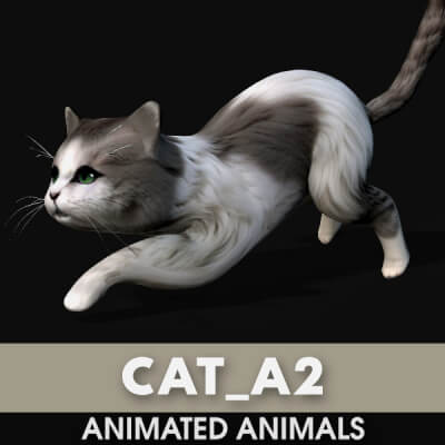 Cat A2 Animated