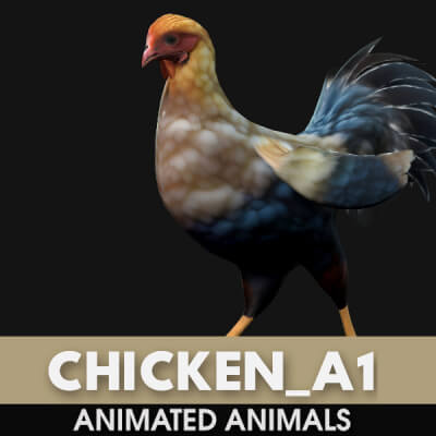 Chicken A1 Animated