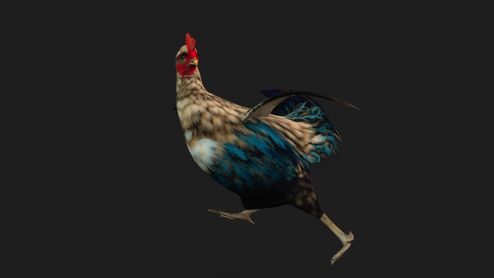 Chicken A4 Animated - 3D Model by Animated3d