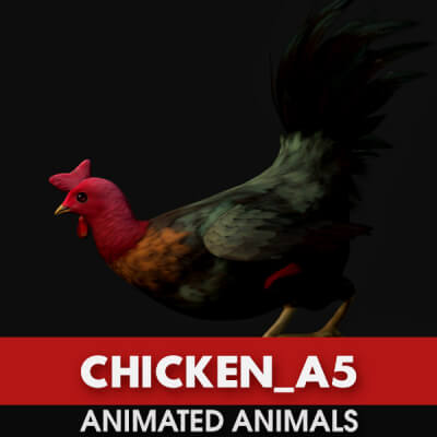 Chicken A5 Animated