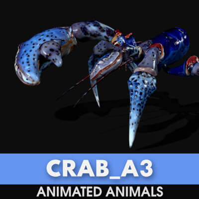 Crab-A3-Animated