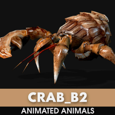 Crab-B2-Animated