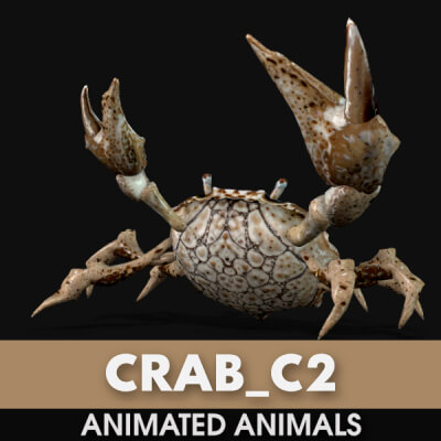 Crab-C2-Animated