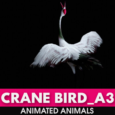 Crane Bird A3