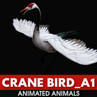 Crane Bird A1