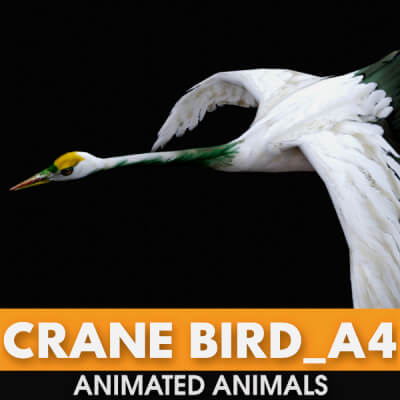 Crane Bird A4