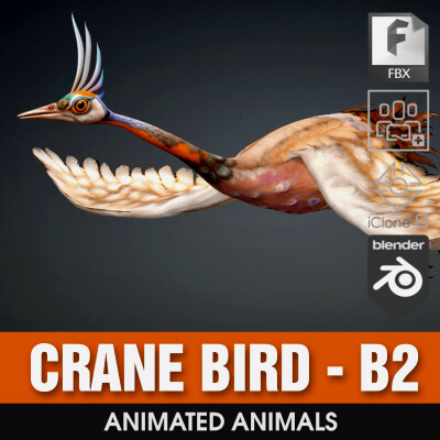 Crane Bird-B2 by Animated3d