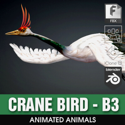 Crane Bird-B3 by Animated3d