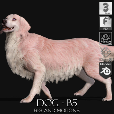 Dog-B5-Animated