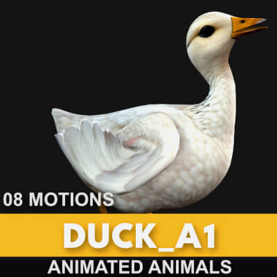 Duck A1 Animated