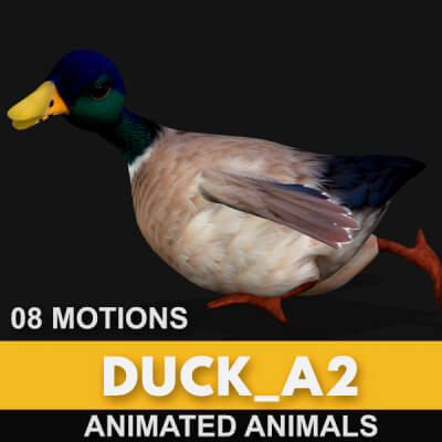 Duck A2 Animated