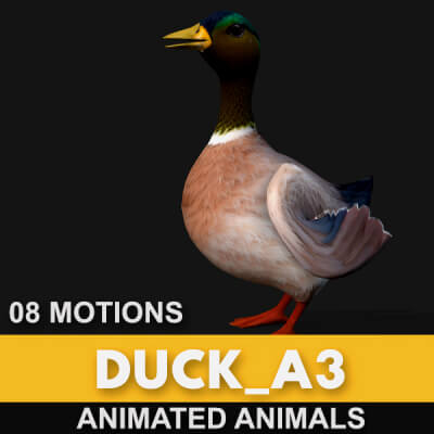 Duck A3 Animated
