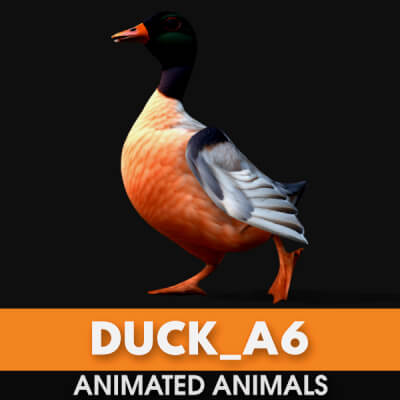 Duck A6 Animated