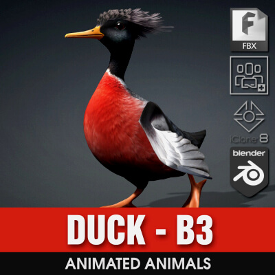 Duck-B3-Animated